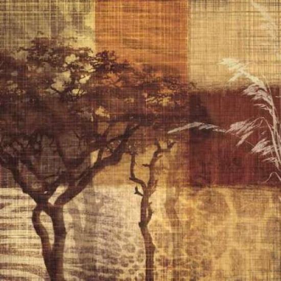 Safari III Canvas Art - Tandi Venter (24 x 24)