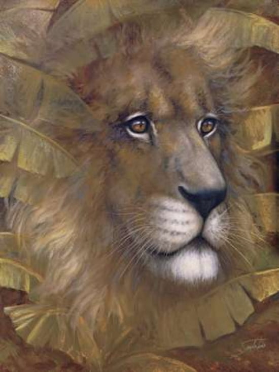 Safari Lion Canvas Art - Sambataro (20 x 28)