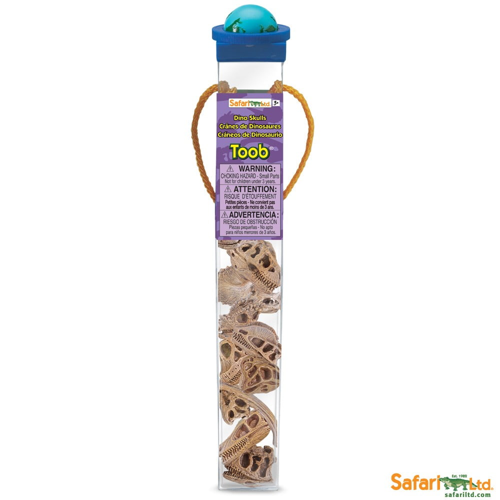 Educational Dinosaur Skull Figurine Set in Dark Brown