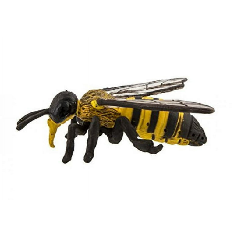 BearFoot Honey Beest OD【新品】 BJFE vs Bearfoot！ Honey Bee OD対決！ - きになるおもちゃ