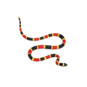 Safari Ltd. Coral Snake Baby Figurine - Lifelike 10.75" Model Figure - Educational Toy for Boys, Girls, and Kids Ages 3+