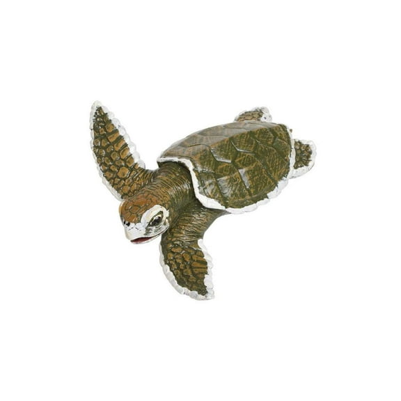 Safari Ltd. Kemp's Ridley Sea Turtle Baby Figurine - Lifelike 5" Model Figure - Educational Toy for Boys, Girls, and Kids Ages 18M+