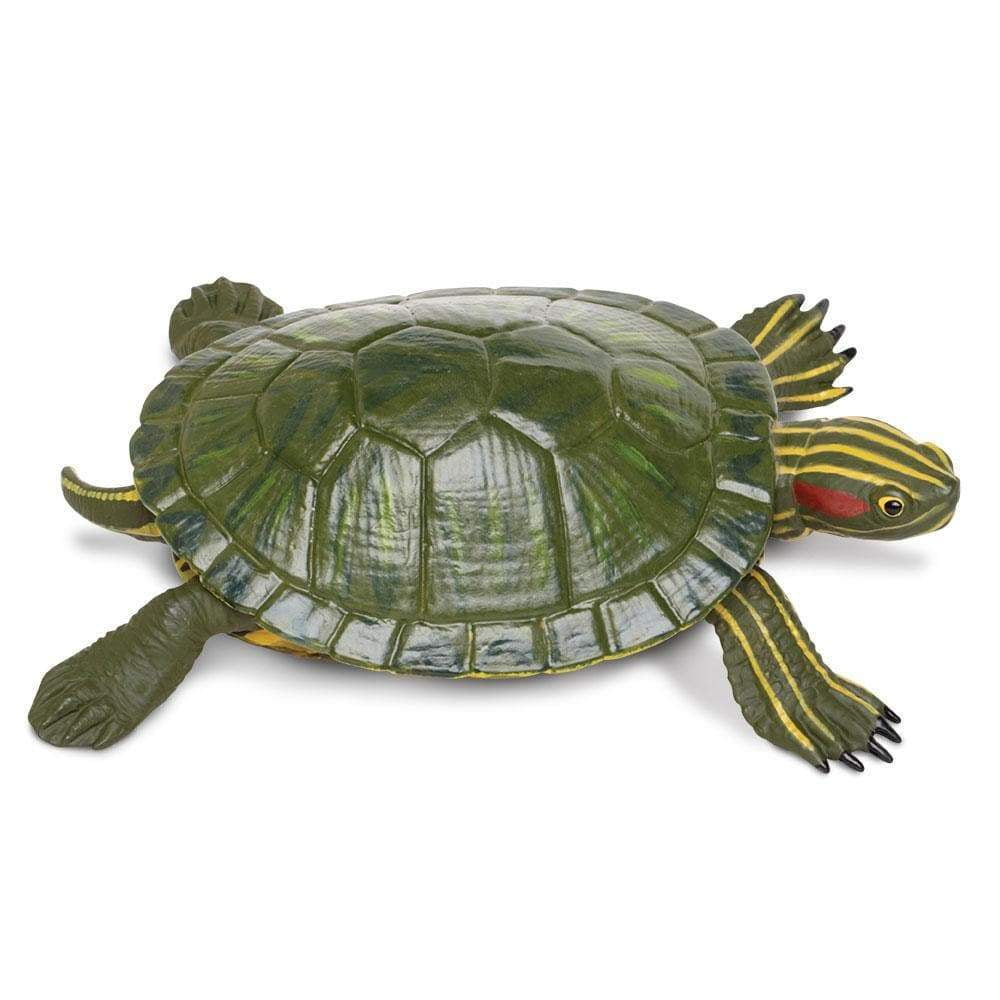 Safari Ltd Realistic Green and Yellow Red-Eared Slider Turtle Toy