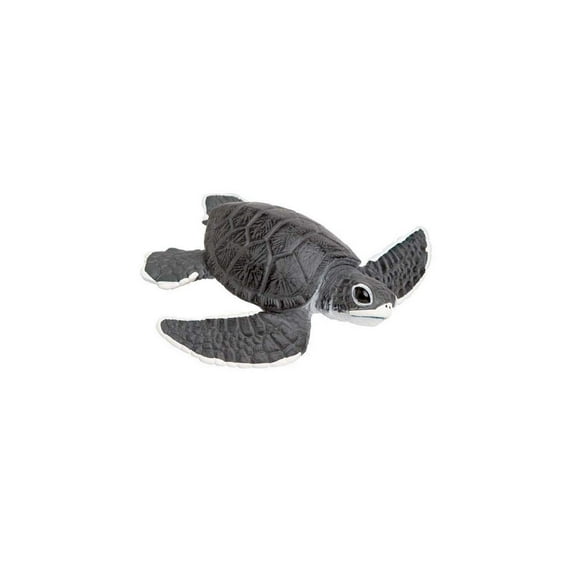 Safari Ltd. Baby Sea Turtle Figurine - Lifelike 5.5" Model Figure - Educational Toy for Boys, Girls, and Kids Ages 18M+