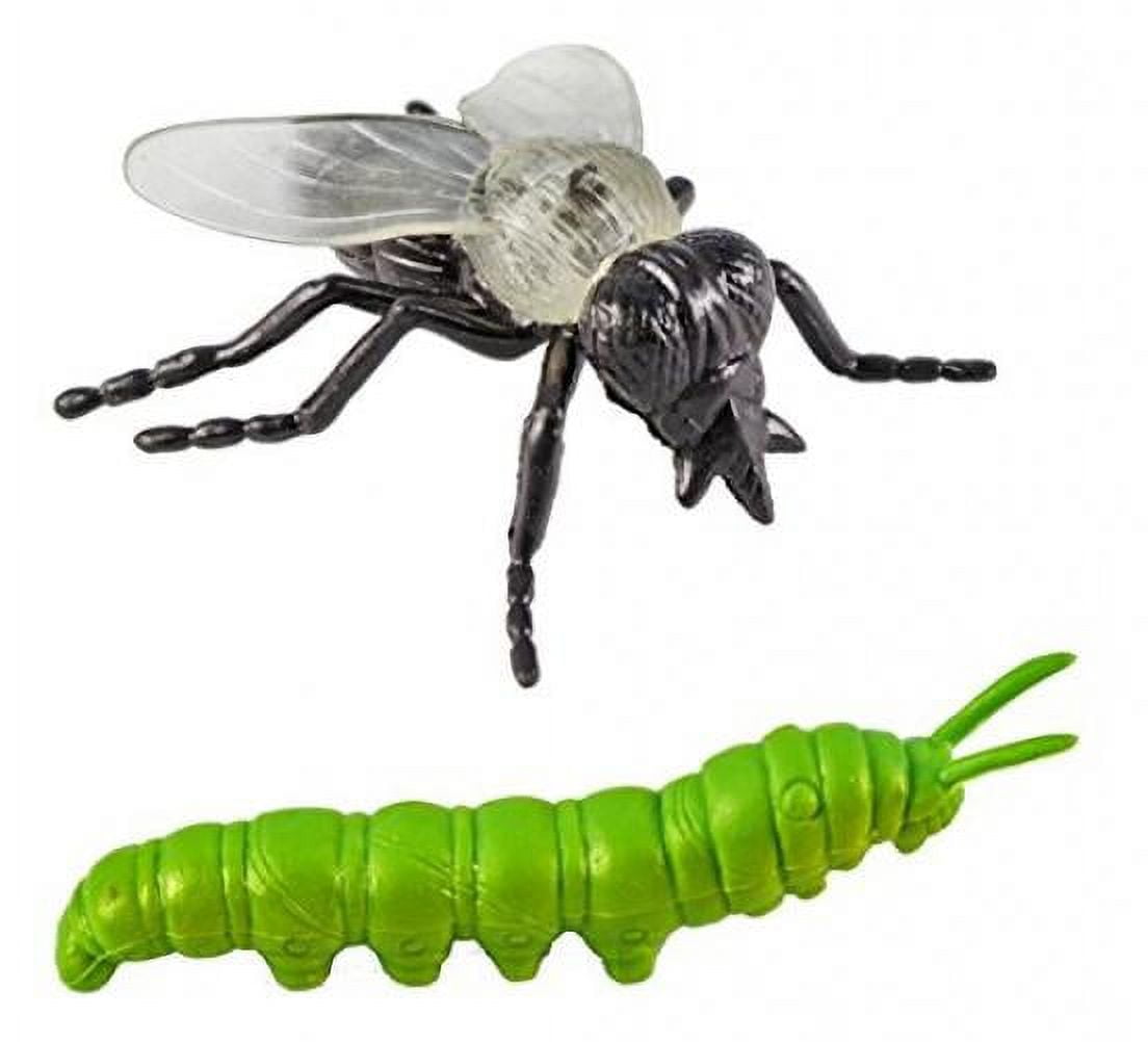 Safari ltd cheap insects