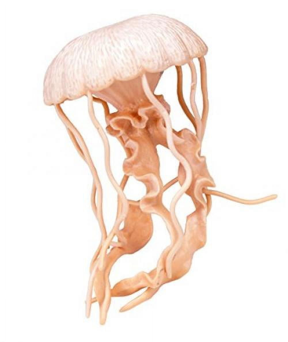  Aydinids 2 Pcs Realistic Jellyfish Plastic Jellyfish Hand  Painted Jellyfish Figure Sea Life Animals Figurines : Toys & Games