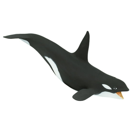 Safari Ltd. Killer Whale Figurine - Realistic 7" Orca Figure - Educational Toy for Boys, Girls, and Kids Ages 3+
