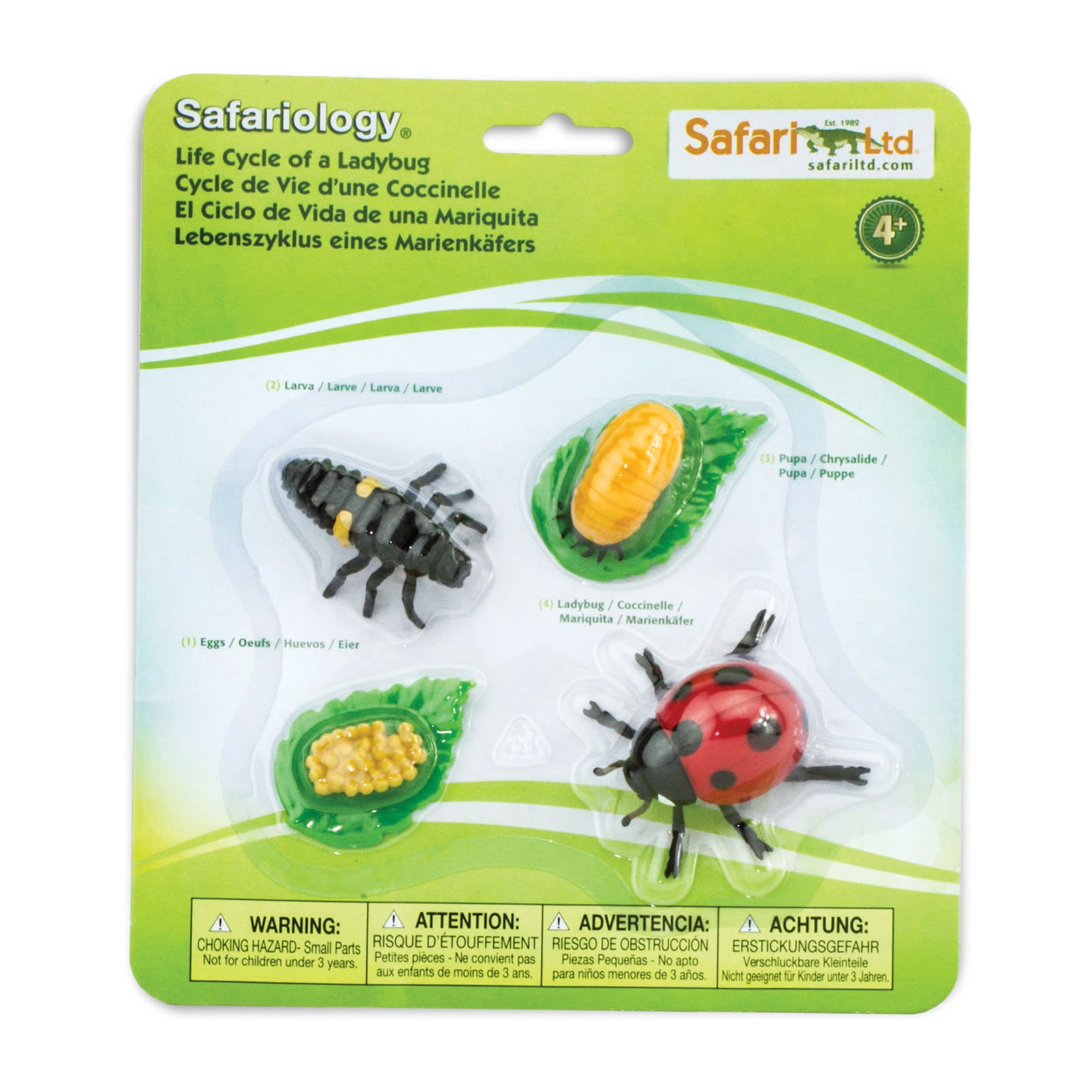 Safari Ltd. Life Cycle of a Ladybug - Educational Indonesia | Ubuy