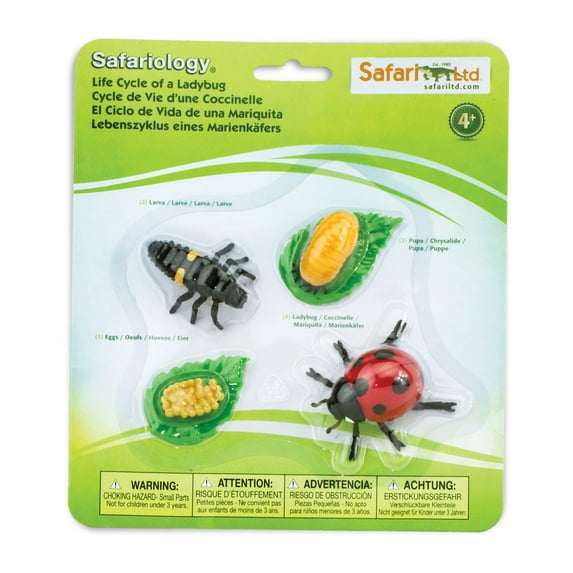 Safari Ltd. Life Cycle of a Ladybug - Educational Toy Figurines - Miniature Beetle Lifecycle Collection for Kids Age 4+