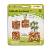 Safari Ltd. Life Cycle of a Green Bean Plant - Educational Toy Figurines - Miniature Plant Lifecycle Collection for Kids Age 4+