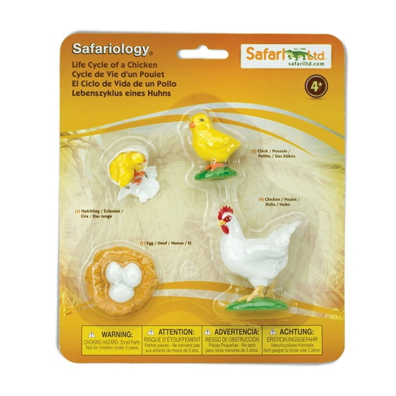 Safari Ltd. Life Cycle of a Chicken - Realistic Educational Toy Figurines - Miniature Poultry Lifecycle Collection for Kids Age 4+