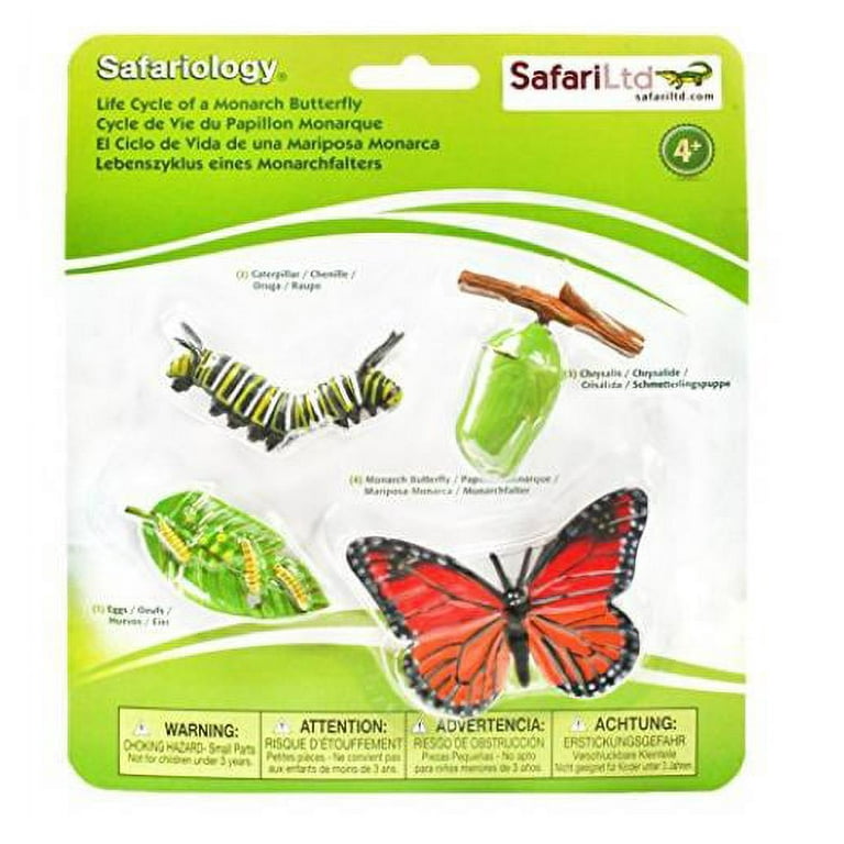 Safari ltd life cycle of a monarch butterfly hotsell