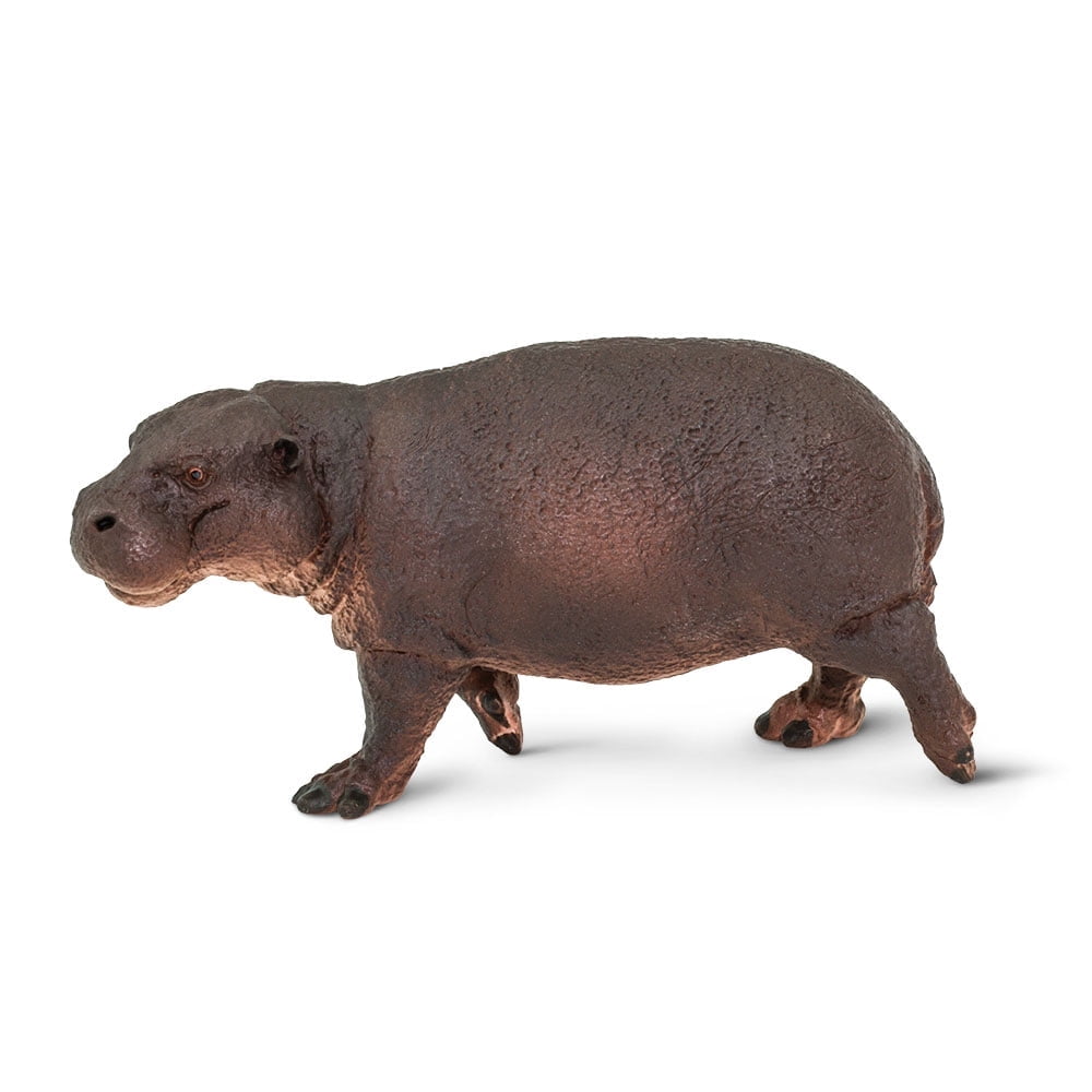 Warmtree Simulated Hippo Model Realistic Plastic Hippo Figurines Action  Figure for Kids' Collection Science Educational Toy, Set of 5 price in UAE,  UAE