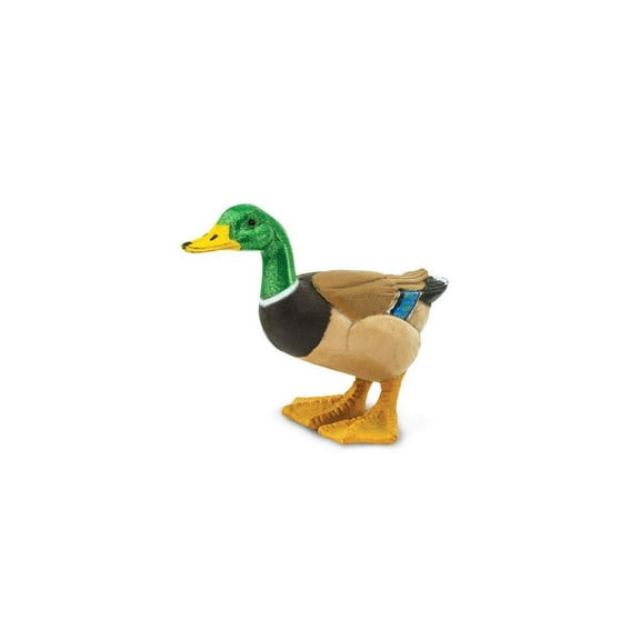 Safari Ltd. Mallard Duck Figurine - Lifelike 3" Model Figure - Educational Toy for Boys, Girls, and Kids Ages 3+