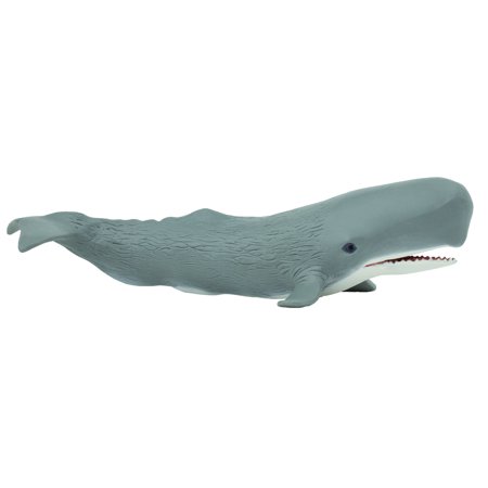 Safari Ltd. Sperm Whale Figurine - Lifelike 8.5" Figure - Educational Toy for Boys, Girls, and Kids Ages 3+