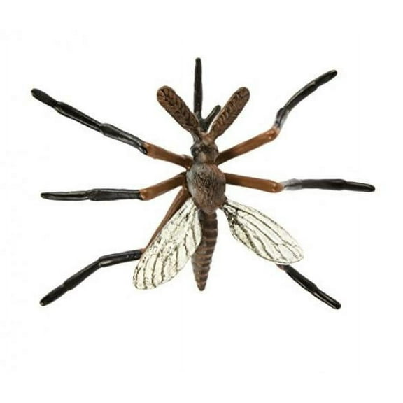 Safari Ltd. Safariology: Life Cycle of a Mosquito