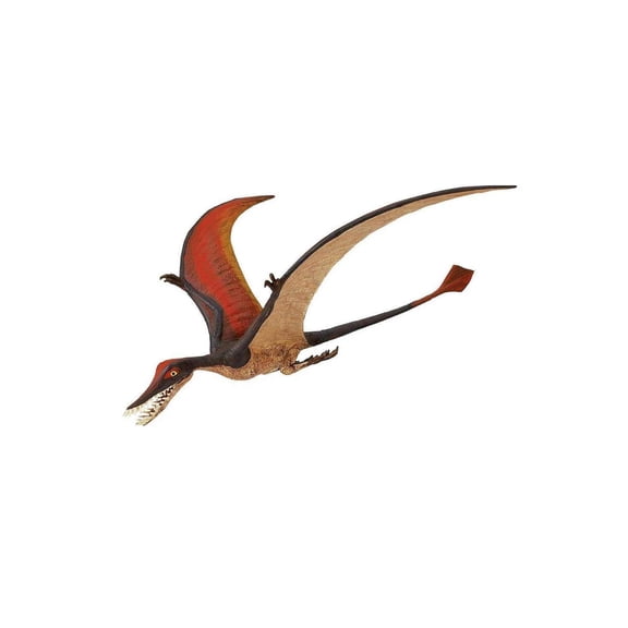 Safari Ltd. Rhamphorhynchus Figurine - Detailed 8" Flying Dinosaur Figure - Educational Toy for Boys, Girls, and Kids Ages 3+