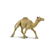Safari Ltd. Dromedary Camel Figurine - Lifelike 5.75 Model Figure - Educational Toy for Boys, Girls, and Kids Ages 3+