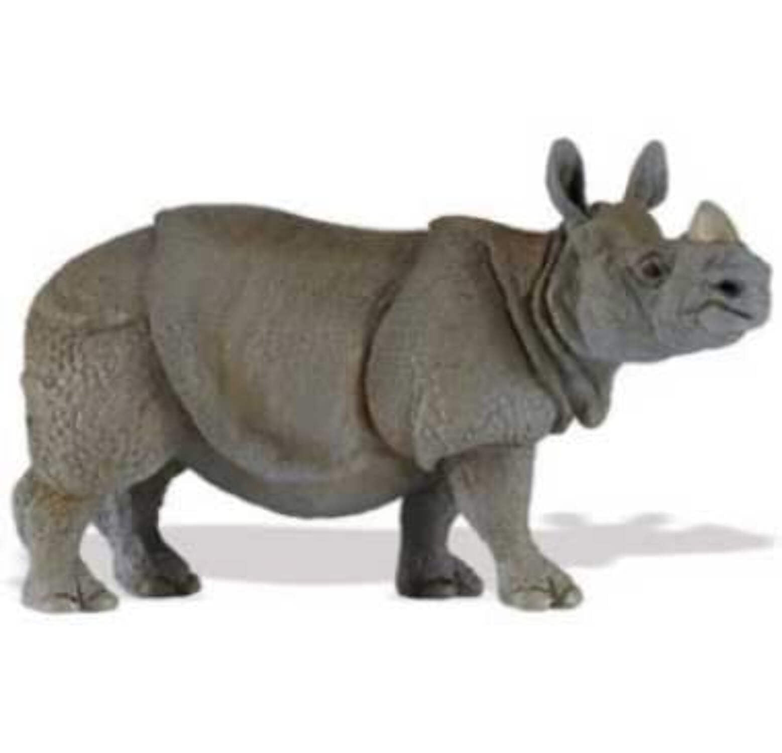 Realistic Gray PVC Indian Rhino Educational Toy Figure