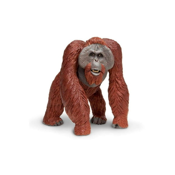 Safari Ltd. Bornean Orangutan Figurine - Realistic 5" Figure - Educational Toy for Boys, Girls, & Kids Ages 3+