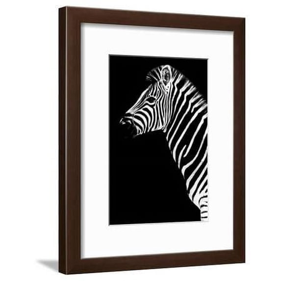 Safari Profile Collection Zebra Black Edition III, Animals Framed Art Print Wall Art by Philippe Hugonnard Sold by Art.Com