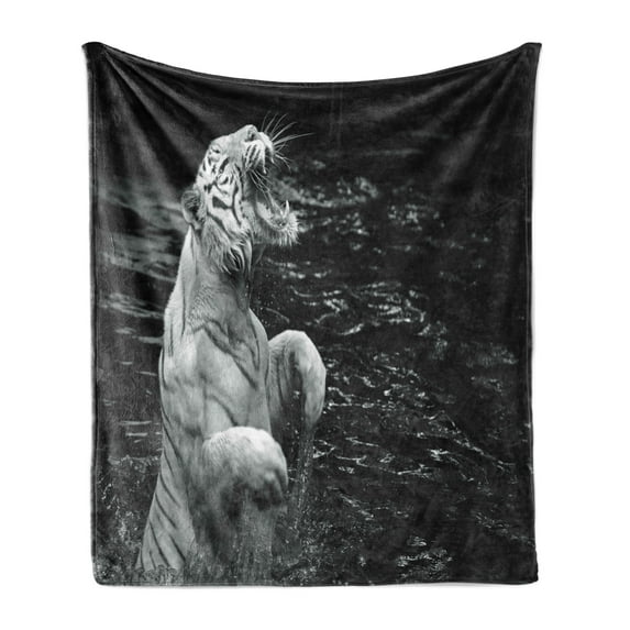 Safari Soft Flannel Fleece Blanket, White Tiger Wintertime Rare Animal Portrait Eyes Wildlife Environment, Cozy Plush for Indoor and Outdoor Use, 50" x 70", Charcoal Grey Pale Grey, by Ambesonne