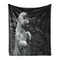 thumbnail image 1 of Safari Soft Flannel Fleece Blanket, White Tiger Wintertime Rare Animal Portrait Eyes Wildlife Environment, Cozy Plush for Indoor and Outdoor Use, 70" x 90", Charcoal Grey Pale Grey, by Ambesonne, 1 of 5