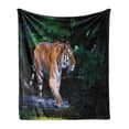 thumbnail image 1 of Safari Soft Flannel Fleece Throw Blanket, Tiger in Water Stream Hunting Danger Trees Tropical Pond Hiding Captive, Cozy Plush for Indoor and Outdoor Use, 60" x 80", Green Orange Brown, by Ambesonne, 1 of 5