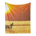 thumbnail image 1 of Safari Soft Flannel Fleece Throw Blanket, Zebra at Sunset on Grass Mammal Culture Tropical Lands Photo, Cozy Plush for Indoor and Outdoor Use, 70" x 90", Yellow Orange Black, by Ambesonne, 1 of 6