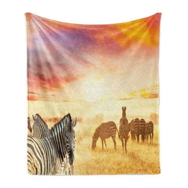 Safari Soft Flannel Fleece Throw Blanket, Zebras at Fairy Sunset on the Grassland Wildlife Adventure Theme in Nature, Cozy Plush for Indoor and Outdoor Use, 50" x 60", Multicolor, by Ambesonne