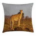 thumbnail image 1 of Safari Throw Pillow Cushion Cover, African Wild Animal Cheetah Standing on Termite Mound Savannah Nature View, Decorative Square Accent Pillow Case, 16 X 16 Inches, Ginger Apricot Dust, by Ambesonne, 1 of 2