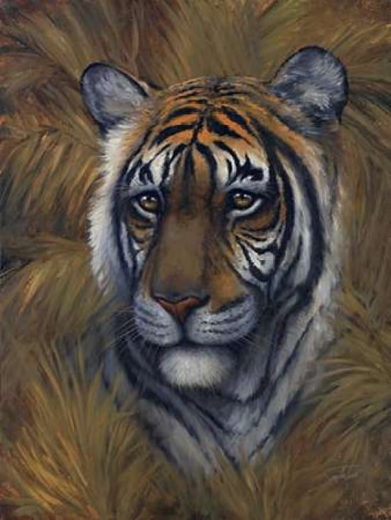 Safari Tiger Canvas Art - Sambataro (18 x 24)