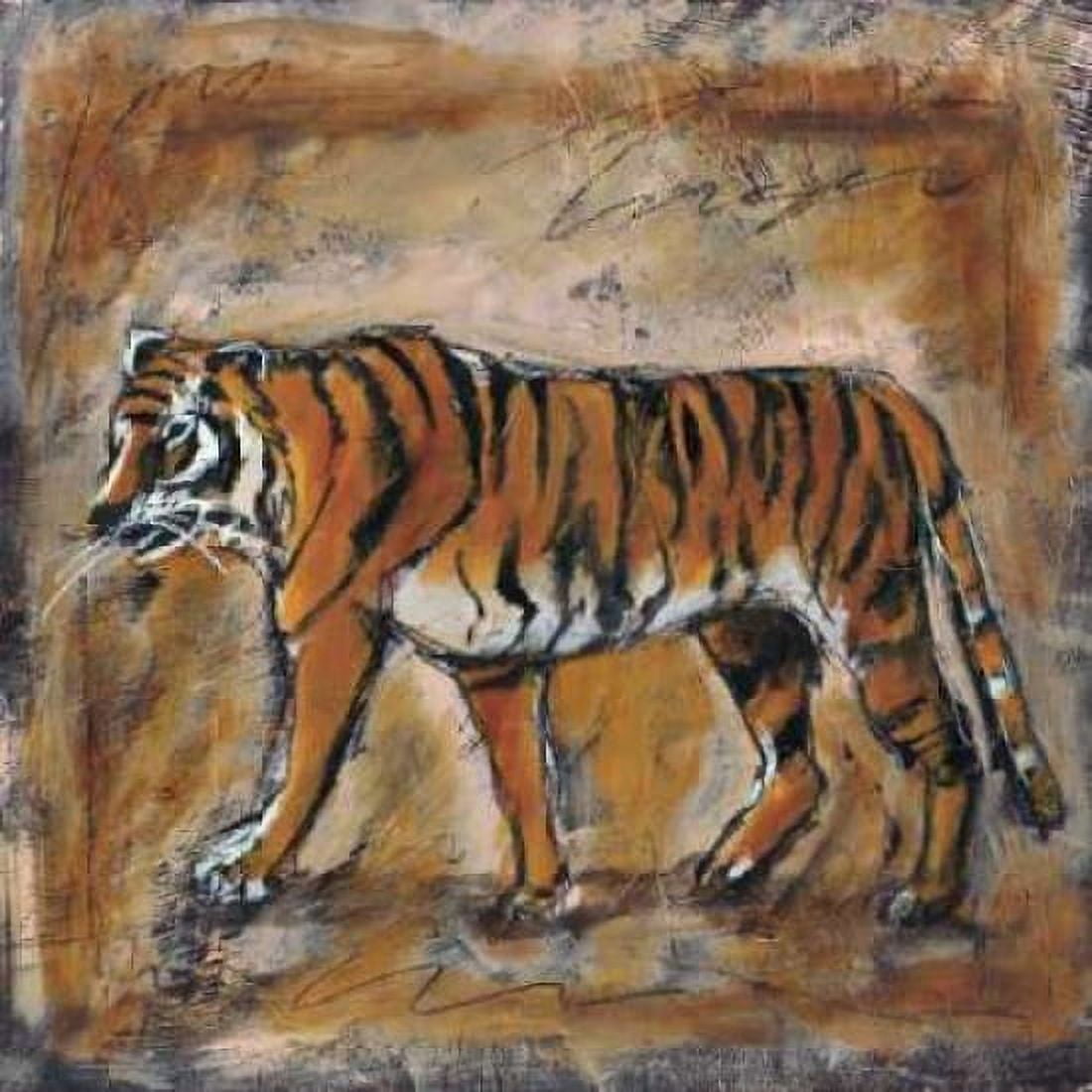 Safari Tiger Canvas Art - Tara Gamel (24 x 24)