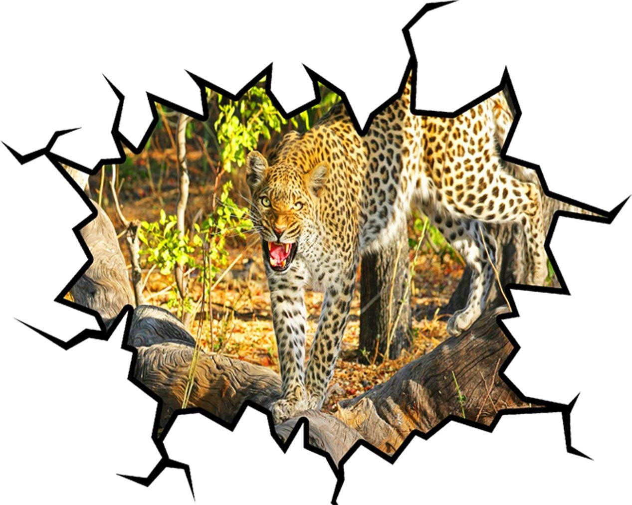 Safari Wall Decal Cracked Hole In The Wall Leopard Sticker VWAQ-WC15 (36" H X 46" W)