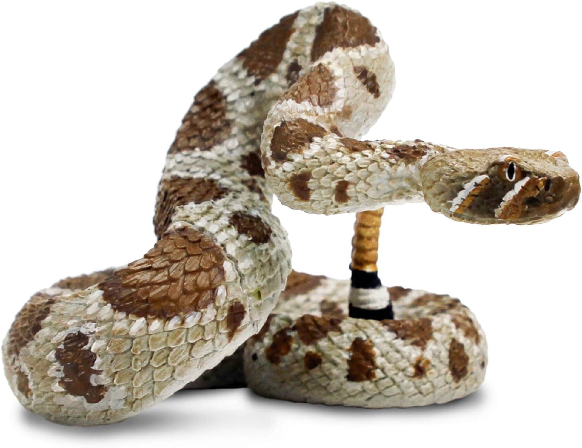 Rattlesnake | National Geographic - View #8