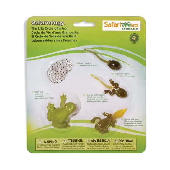 Safari Ltd. Life Cycle of a Frog Figurine Set - Realistic Model Figures - Educational Biology Toy for Boys, Girls, and Kids Ages 4+