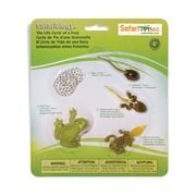 Safari Ltd. Life Cycle of a Frog Figurine Set - Realistic Model Figures - Educational Biology Toy for Boys, Girls, and Kids Ages 4+