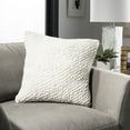 thumbnail image 1 of Safavieh Abella Solid Textured Pillow, 1 of 4