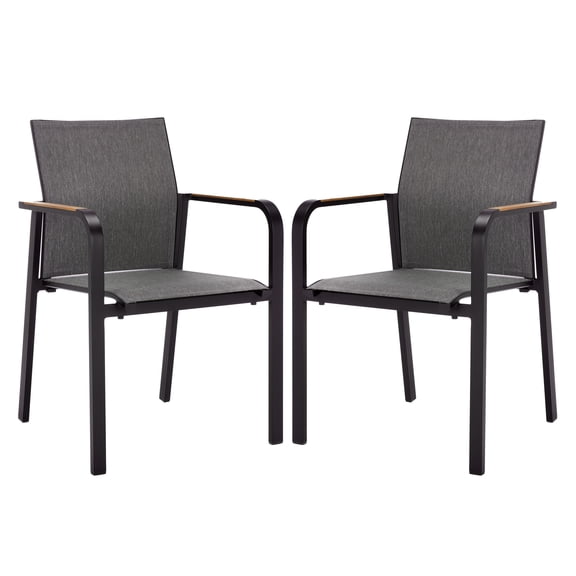 Safavieh Dexter Aluminum Outdoor Dining Arm Chair - Set of 2, Black