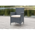 thumbnail image 1 of Safavieh Kendrick Outdoor Patio Wicker Chair, Set of 2 - Titanium/Sand, 1 of 7