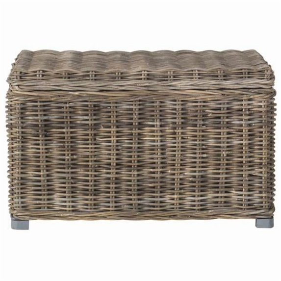 Safavieh Mikasi Trunk, Grey