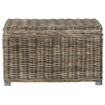 Safavieh Mikasi Trunk, Grey