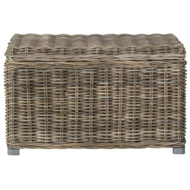 Safavieh Mikasi Trunk, Grey