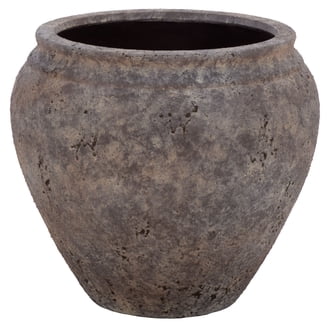 1 Quart Pot Plant