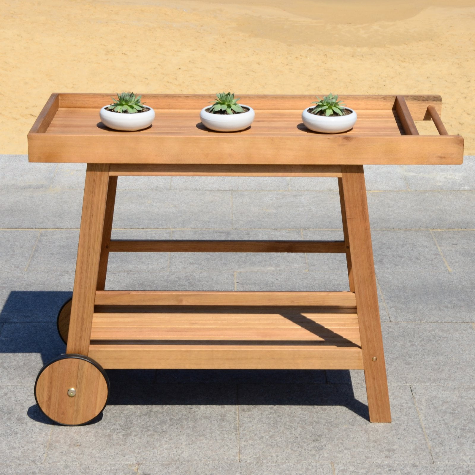Renzo 48" Natural Wood Indoor/Outdoor Bar Cart with Storage