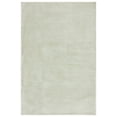 thumbnail image 1 of SAFAVIEH Revive Hyram Solid Polyester Area Rug, Sage, 5'3" x 7'7", 1 of 7