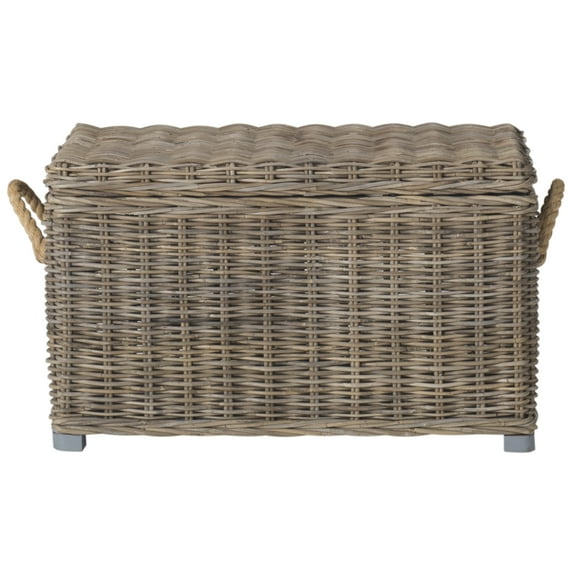 Safavieh Salim Nautical Storage Wicker Trunk with Handle