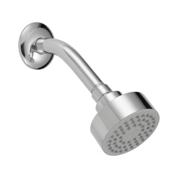 Safavieh Solea Brighten Bathroom Shower Head in Chrome
