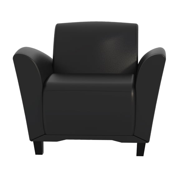 Santa Cruz Lounge Chair Black Color