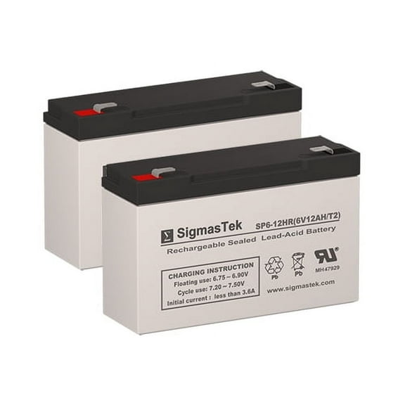 Safe 250 UPS Battery Set (Replacement)